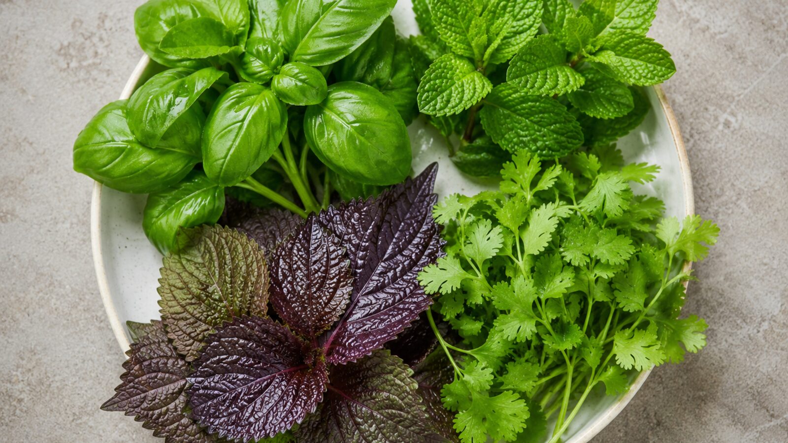 A plate of fresh Vietnamese herbs: Thai basil, mint, purple perilla and coriander.